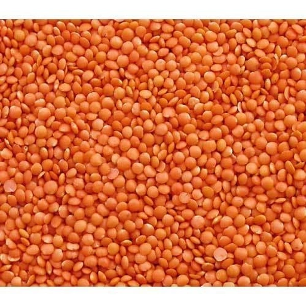 Masoor Dal 