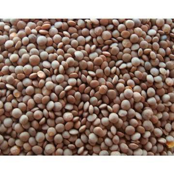 Gota Masoor Dal
