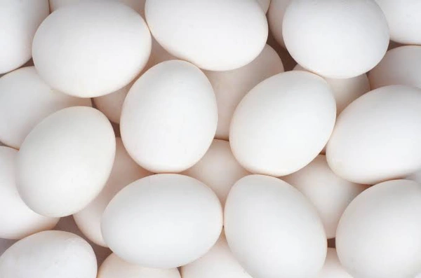 Egg