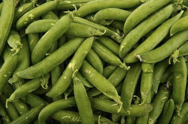 Green Peas ( Matar)  - 1kg
