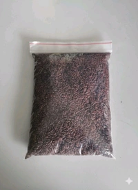 மாப்பிள்ளை சம்பா அரிசி 