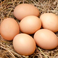 நாட்டுக்கோழி முட்டை / Country Chicken Egg (6 Pieces)