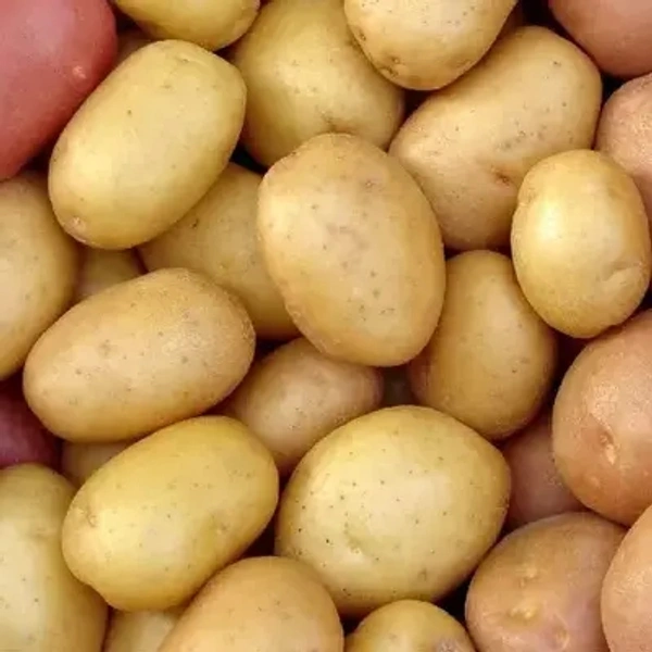 आलु - 1kg