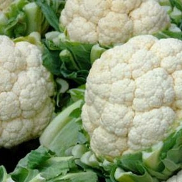 फूल गोभी - 1kg