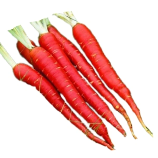 गाजर - 1kg