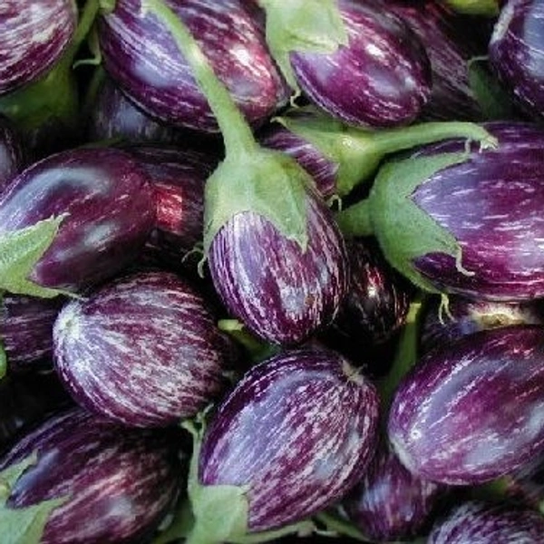 बेगन - 1kg