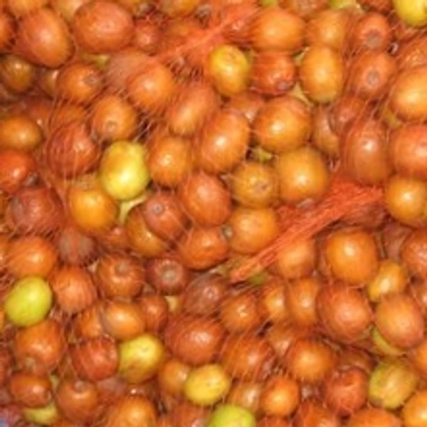 बेर   फ्रूट - 1kg