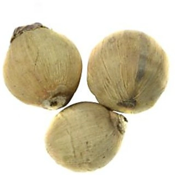 नारियल - 1 Pice