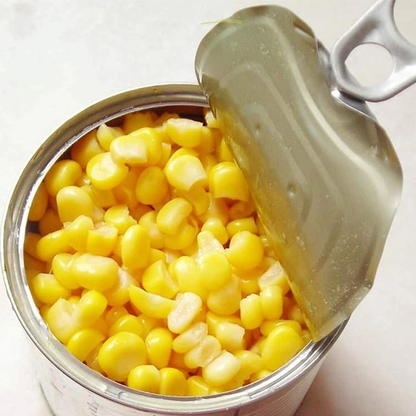 Sweet Corn 