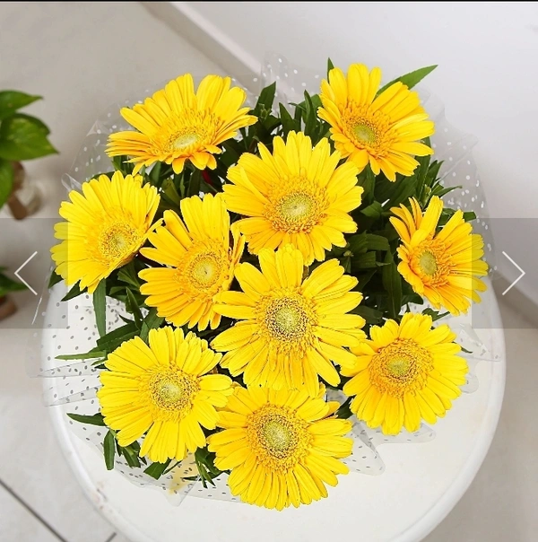 Yellow Gebra Bouquet 