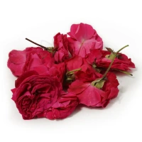 pooja rose flower