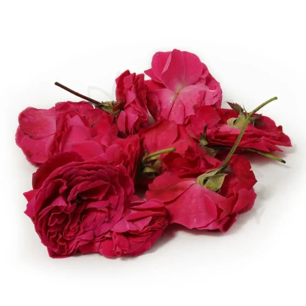 pooja rose flower