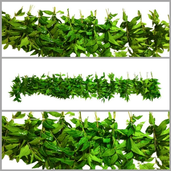 Neem Gate Toran - 3 Feet