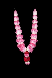 Lotus Garland 