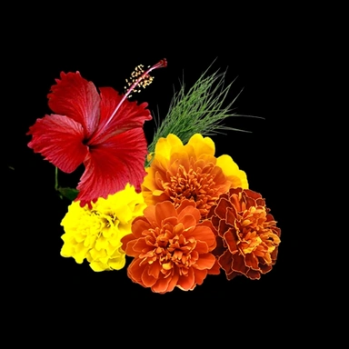Loose Flowers