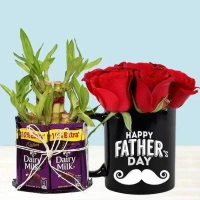 lucky bamboo with chocolate and mug for fathers 