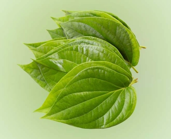 Pan Pattaaa