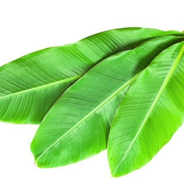 Banana Leaves 