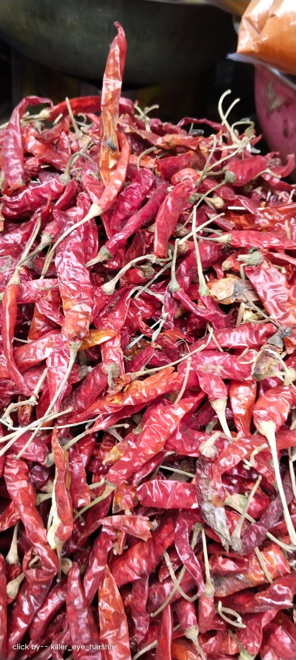 Dry Spicy Red Chilli 