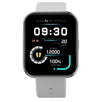 Fire-Boltt Celcius 1.91 inch HD 240*296 Borderless Display & Body Temperature Monitoring Smartwatch  (Grey Strap, Free Size) - white, 1.96