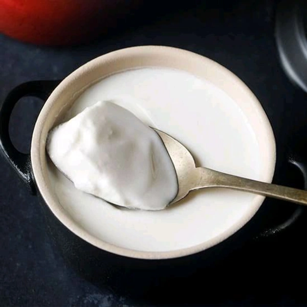Dahi Bowel