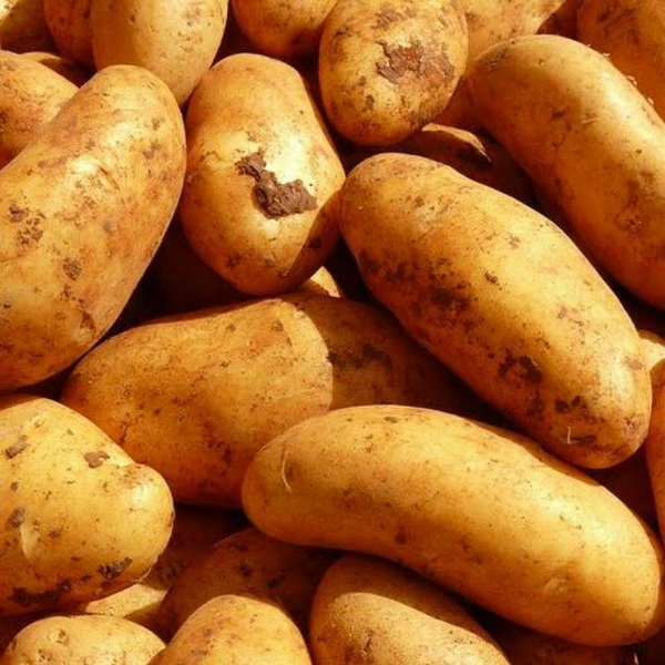 Pahadi Aloo - Web Orange, 1 Kg