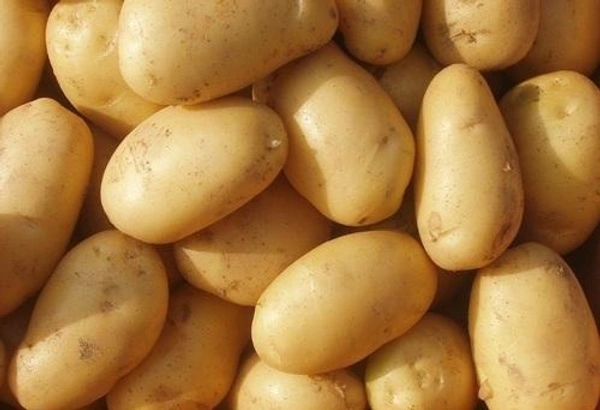 Pahadi Aloo - Web Orange, 1 Kg