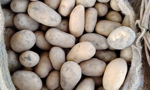 Pahadi Aloo - Web Orange, 1 Kg