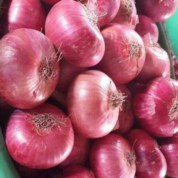 Nashik Wali Pyaz (Pink Onion) - Tutu, 1 Kg