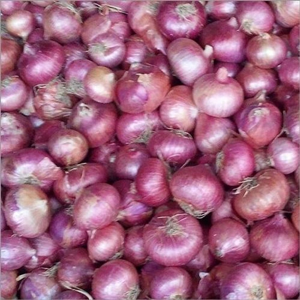 Nashik Wali Pyaz (Pink Onion) - Tutu, 1 Kg