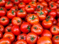 Desi Tamatar (Desi Tomato) - 500 Grams