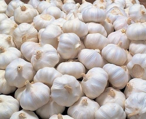 Lehsun (Garlic) - 250 Grams