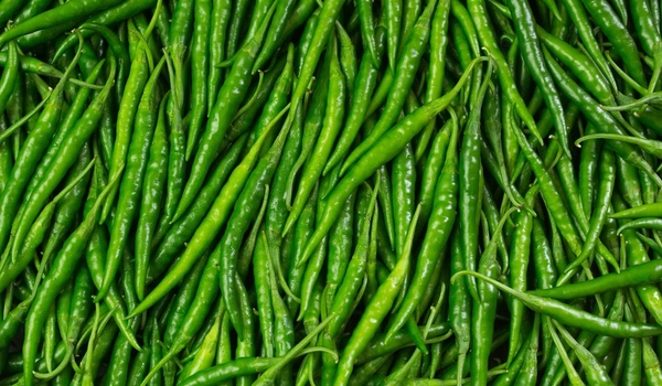 Tikhi Mirch (Green Chillies) - 250 Grams