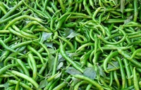 Tikhi Mirch (Green Chillies) - 250 Grams
