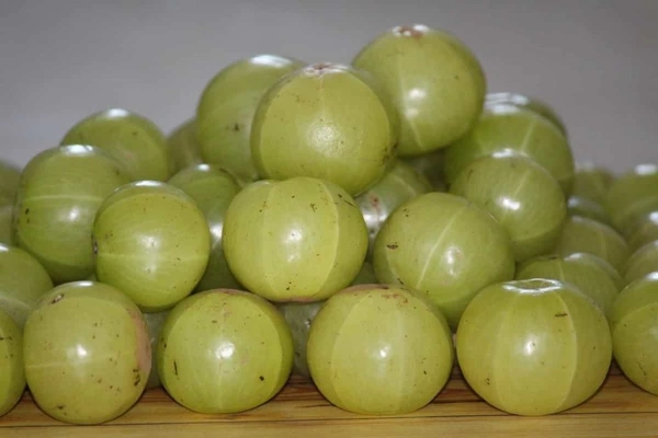 Ambla  (Gooseberry) - 250 Grams