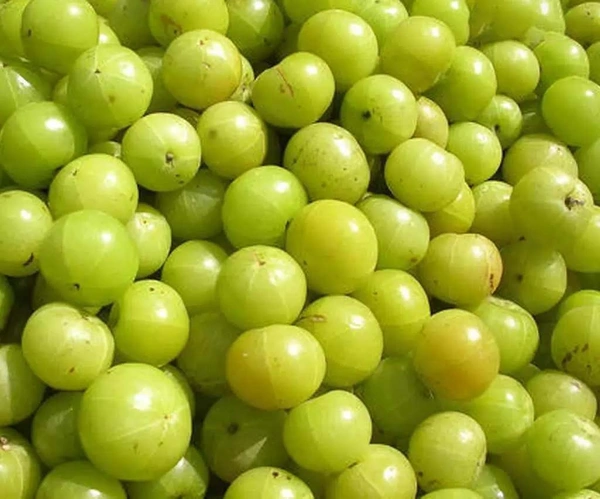Ambla  (Gooseberry) - 250 Grams