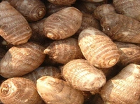 Arbi  - 250 Grams