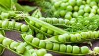 Hari Matar (  Green Peas - 250 Grams