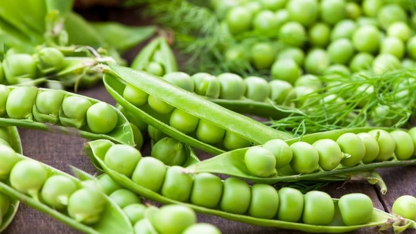 Hari Matar (  Green Peas - 250 Grams