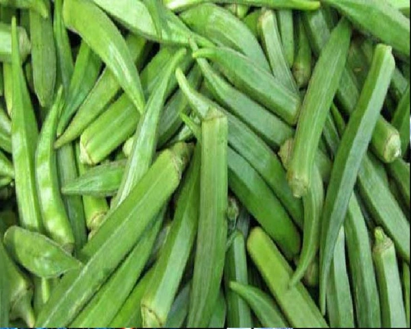 Bhindi  - 250 Grams
