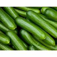 Organic Khira (Chinese) - 500 Grams