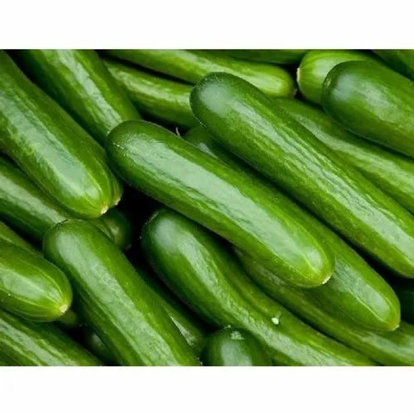 Organic Khira (Chinese) - 500 Grams