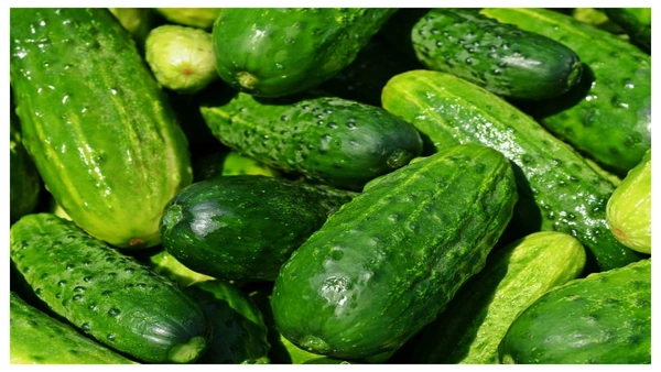 Desi Khira - 1kg