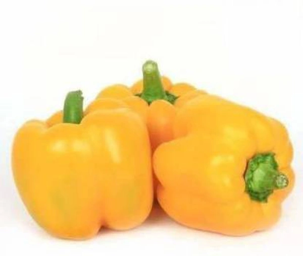 Lal Pili Shimla Mirch - 250 Grams