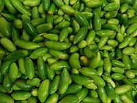 Kundru - 250 Grams