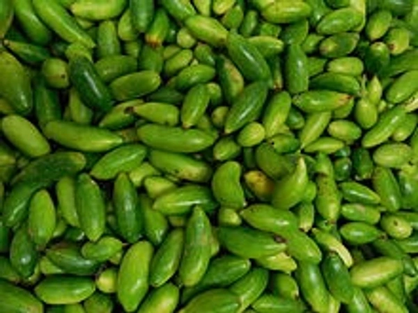 Kundru - 250 Grams