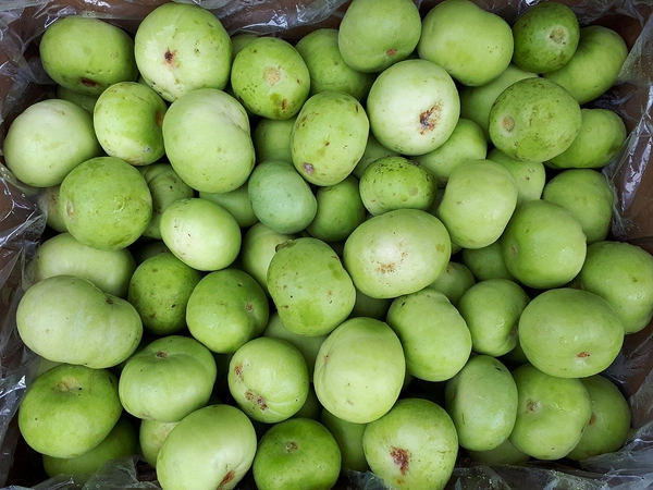 Desi Tinda - 250 Grams