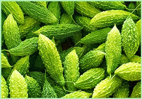 Karela - 250 Grams