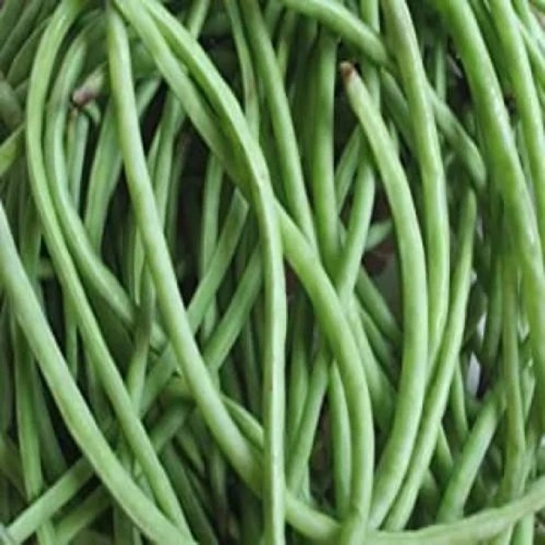 Lobiya - 250 Grams
