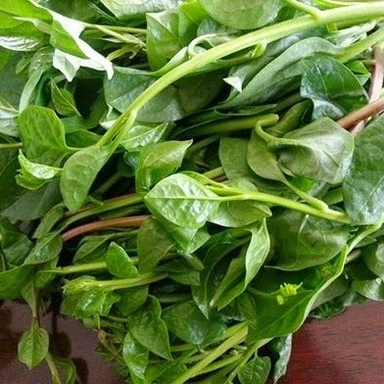 Leafy Vegetables